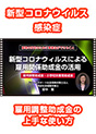[DVD-0794] �V�^�R���i�E�C���X�ɂ��ٗp�֌W�������̊��p�@�ٗp�����������E���w�Z�x�Ɠ��������@�ٗp�̈���̂��߂Ɏ��Ǝ傪�ł��邱��